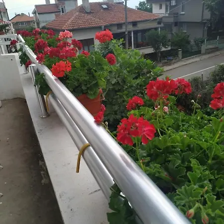 ゲストハウス Студио Петрови